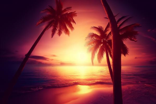 ビーチの美しすぎる夕焼けとヤシの木01｜風景の壁紙/画像素材