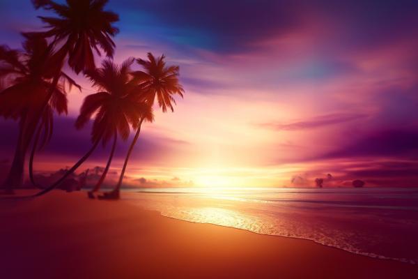 ビーチの美しすぎる夕焼けとヤシの木04｜風景の壁紙/画像素材
