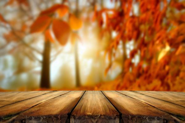 木の板とオレンジ色の葉02｜風景の壁紙/画像素材