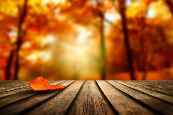 木の板とオレンジ色の葉03｜風景の壁紙/画像素材